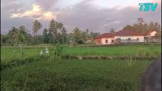 DJ MINANG PULANGLAH UDA REMIX TERBARU 2024 FULL BASS