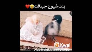 هاذا اخي عندما يتزوج