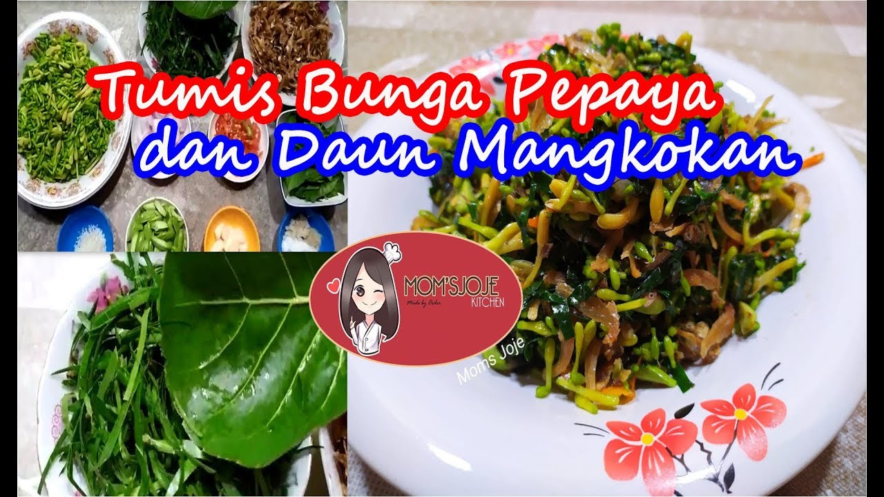  Tumis  Bunga  Pepaya  dan  Daun Mangkokan Enak  nih YouTube