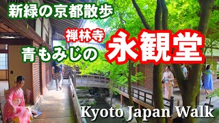 5/24(金)新緑の京都散歩 青もみじの永観堂(禅林寺)を歩く【4K】Kyoto Japan Walk