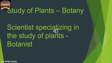 Class 6 - Science - Video- Plants Form and Function 1