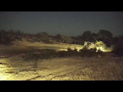 camera iphone 8 plus apk Djuma Private Game Reserve Live Stream