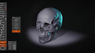Anatomy 360 Skull Sketcher v2 in 60 seconds