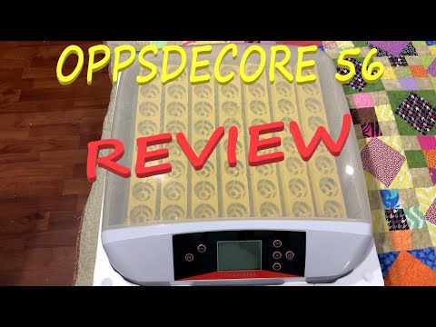 OppsDecor56 Egg Incubator Review - Good - Bad - Ugly - 2021