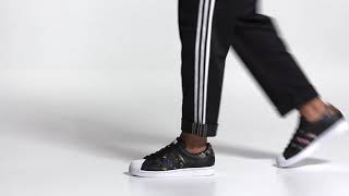 fw3693