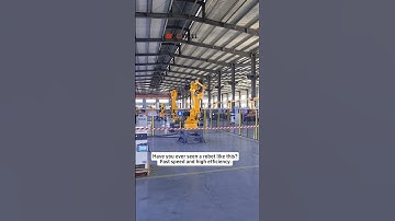 Have you ever seen a robot like this? Fast speed and high efficiency. #factory #industrialrobot