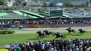Suivez en direct la 5re course de la 7e journée de course au Champ de Mars.