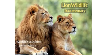 Lions in the Wild: Life and Hunting