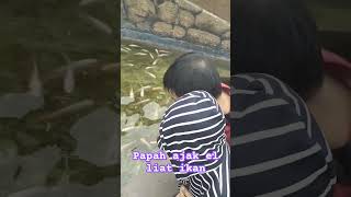 Download Lagu Ikan ikan kamu lucu sekali 😍 #fish #happy #funny #ElvannoTW #shorts MP3