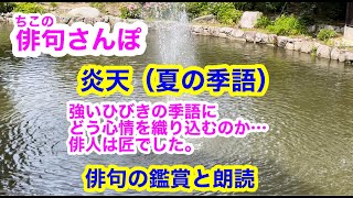 【俳句さんぽ。第23回】炎天（夏の季語）初心者にもわかりやすい俳句鑑賞です。強い響きの季語に、どう心情を織り込むのか…俳人たちは匠でした。#俳句 #俳句鑑賞 #俳句朗読