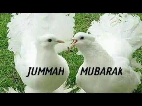 jumma Mubarak WhatsApp status ll jumma Mubarak WhatsApp status new ll | Sana Nadeem