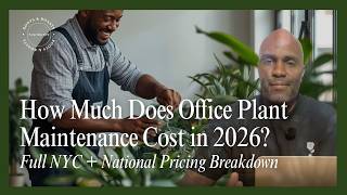 How Much Does Office Plant Maintenance Cost in 2026? Full NYC + National Pricing Breakdown