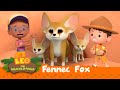 Fennec Fox | Is That A Real-Life Pokemon?!? | Leo the Wildlife Ranger | Animation for Kids