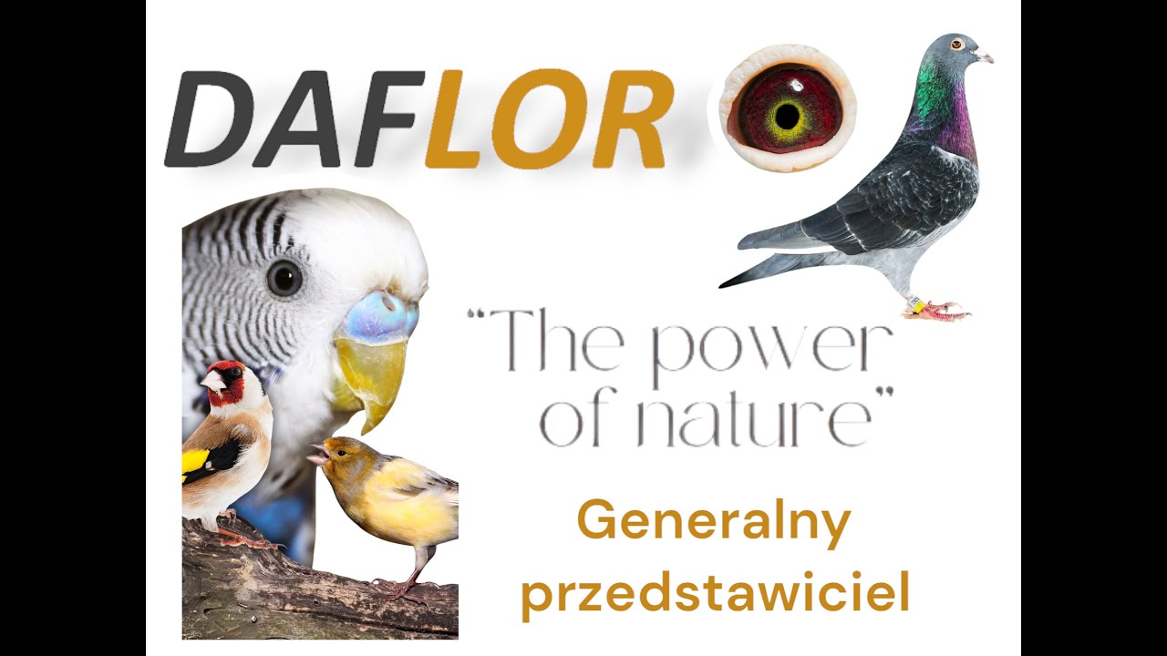 Daflor 3 in 1 Mix – Idealne wsparcie zdrowia gołębi przez cały rok