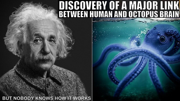 Major Link Between Human and Octopus Brains Found,...