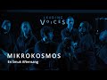 En smuk  bjrn andor drage  choeur mikrokosmos  festival leading voices 2022  utrechtpaysbas