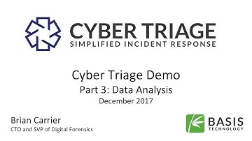 Cyber Triage - Analysis