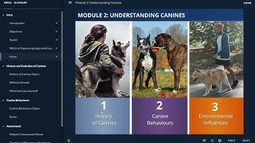 DLI Professional Diploma in Digital Learning Design: Prototype