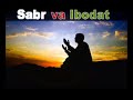 Fozil qori  sabr va ibodat        