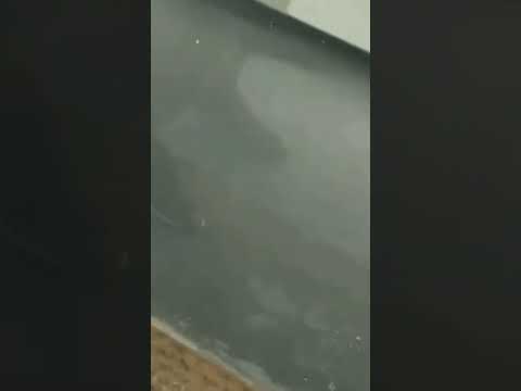Обычный дверной замок..