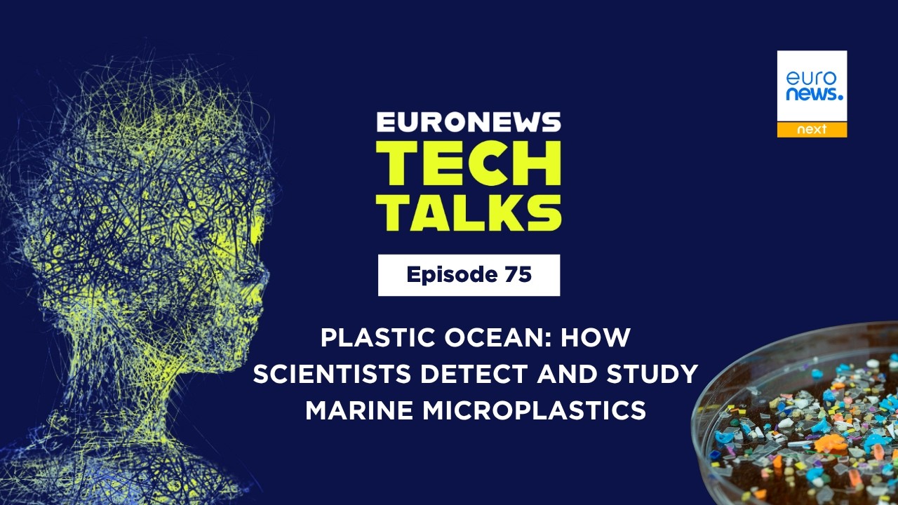 Marine Microplastics: Detection, Impact, and Human Health Connections