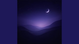 Soft Nightfall Echoes screenshot 4