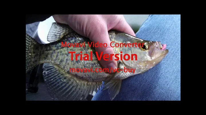 MTB Mystery Tackle Box Ice Fishing Slam Completed Proof