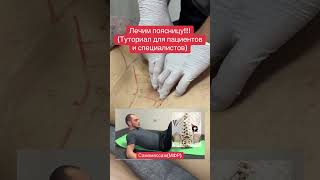 Лечение поясницы. Для пациентов и специалистов.Триггерные точки в квадратной мышце поясницы