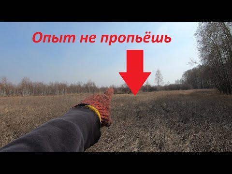 Металлокоп с Дедом! Дед Слава снова в деле! (В поисках ЗОЛОТА) #2022