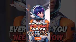 Everything You Need To Know About Juno