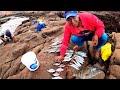 Con esta CARNADA Podrás PESCAR A TODOS LOS PECES DEL MAR