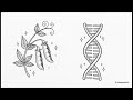 Genetics aur Evolution Ka Full Concept | Biology Class DNA, Genes aur Evolution | 