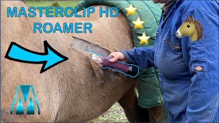 ASMR Horse Clipping!!! (CLIPPING "BOBBY" WITH THE MASTERCLIP HD ROAMER (Cordless Horse Clipper))