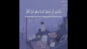 (وعسى أن تكرهوا شيئا وهو خير لكم) اسلام صبحي حالات واتس  - Islam Sobhi | سورة البقرة