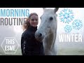 Winter Stable Morning Routine | This Esme