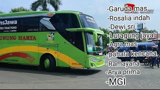 Hunting bus versi  sholawat DJ Remix#huntingbus #sholawat #busmania#dj #remix