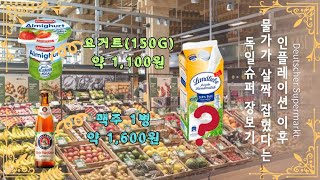 독일 슈퍼 #장보기/ 15만원으로 독일 슈퍼에서 살 수 있는것들/ 독일 생활 물가 알아보기