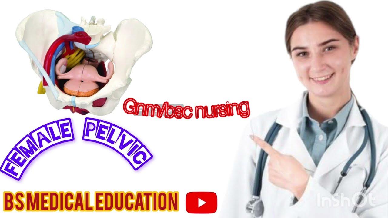 Female Pelvic In Marathi In Detail female Pelvic Gynecology Gnm female-pelvic-in-marathi-in-detail-female-pelvic-gynecology-gnm