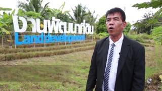 รายการคนไทยหัวใจเกษตร  10 มกราคม 2560  B3