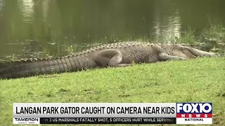 Langan Park gator caught on camera near kids