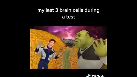 My last 3 brain cells during a test
