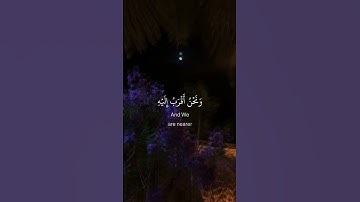 أجمل وأفضل حالات واتس اب دينيه 🖤 قرآن كريم بصوت القارئ : طارق محمد || 🌘😴 ( مقاطع قرآن )😴