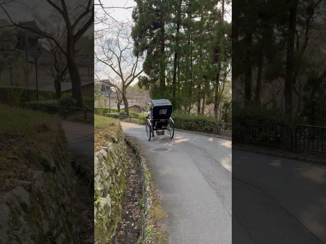 Osaka Rickshaw