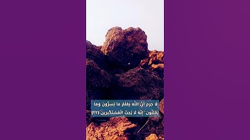 سعد الغامدي .. سورة النحل .. لَا جَرَمَ أَنَّ اللَّهَ يَعْلَمُ مَا يُسِرُّونَ وَمَا يُعْلِنُونَ ۚ