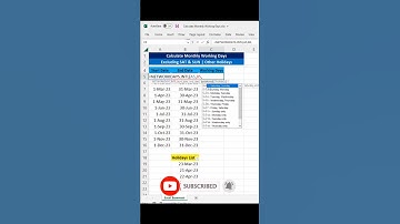 Calculate Monthly Working Day Excluding SAT & SUN also Other Holidays in#MicrosoftExcel #WorkingDays