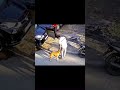 هجوم الكلاب على البشر فيديو مقاطع خطير جدا كلاب انتبهوا هجوم الكلاب على البشر فيديو مقاطع خطير جدا كلاب انتبهوا