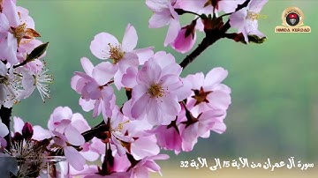 آل عمران من الآية 15 إلى الآية 32
