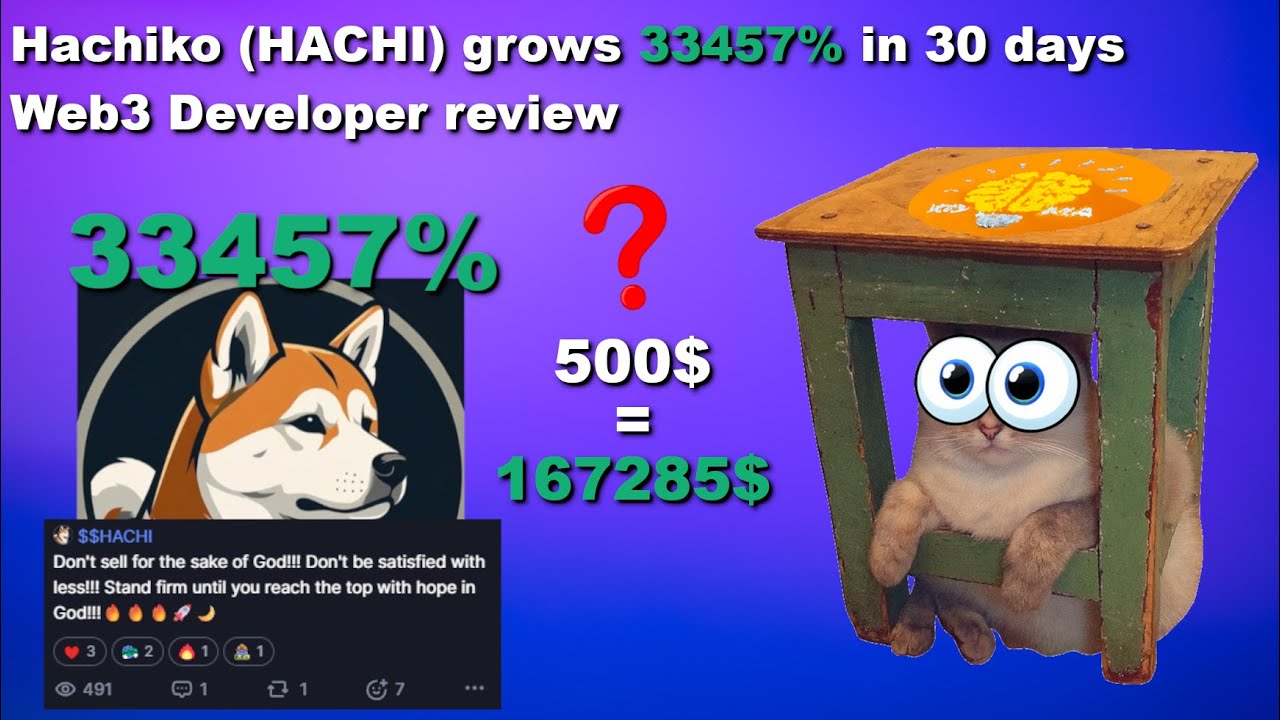 Hachiko (HACHI) Crypto Gem or Just Hype? (Web3 Developer review