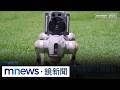 娛樂、體育與生活話題穿插，涵蓋演唱會、電影、棒球與公共服務