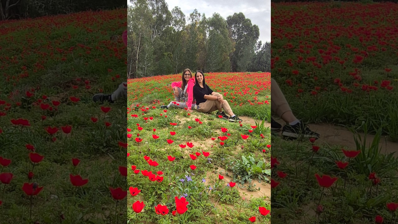 דרך נוף נחל שקמה